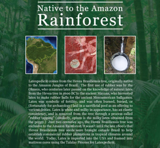 Latex is native to the Amazon Rainforest